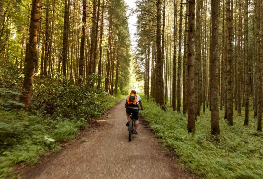 Fahrradtouren Deutschland | Momondo