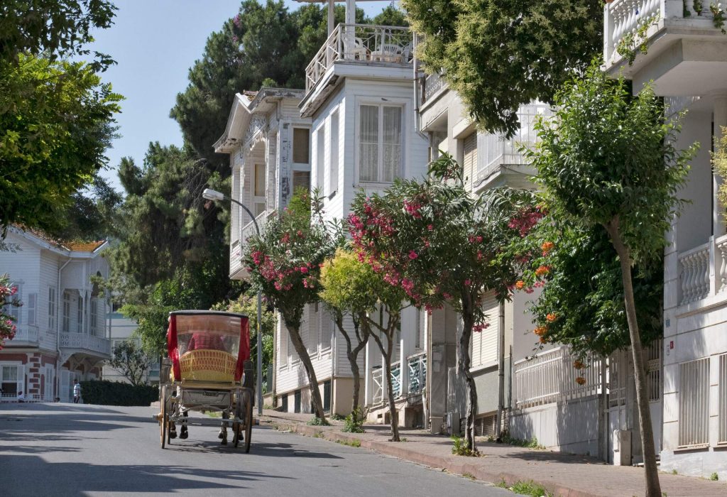 Istanbul mit Kindern: Aktivitäten, Freizeitparks und mehr | momondo